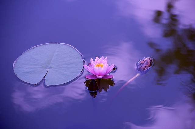 calmness